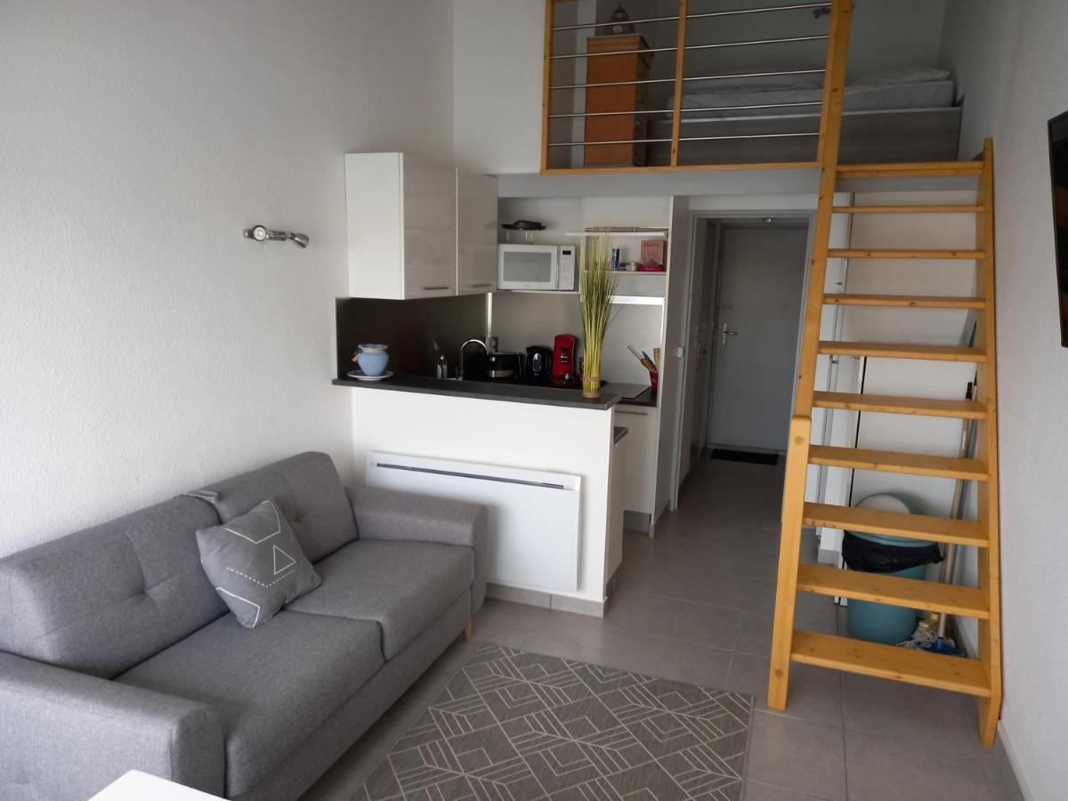L'Arche De Noe 217, Studio Mezzanine Vue Imprenable Agde Buitenkant foto
